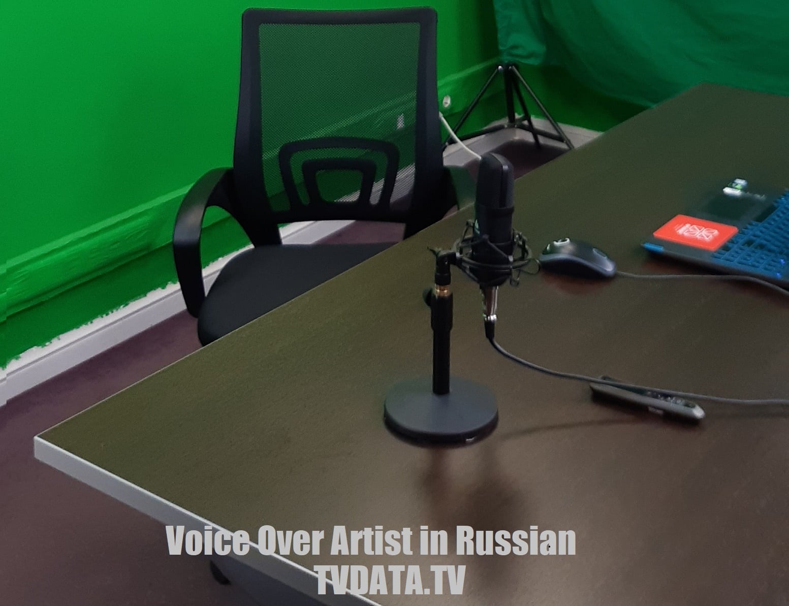 Russian voice over artist