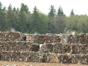 Plastic Trash is Littering Russia Environmental Stock footage